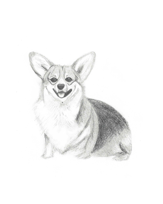 Pet Portrait Commission
