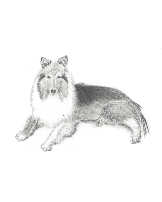 Pet Portrait Commission