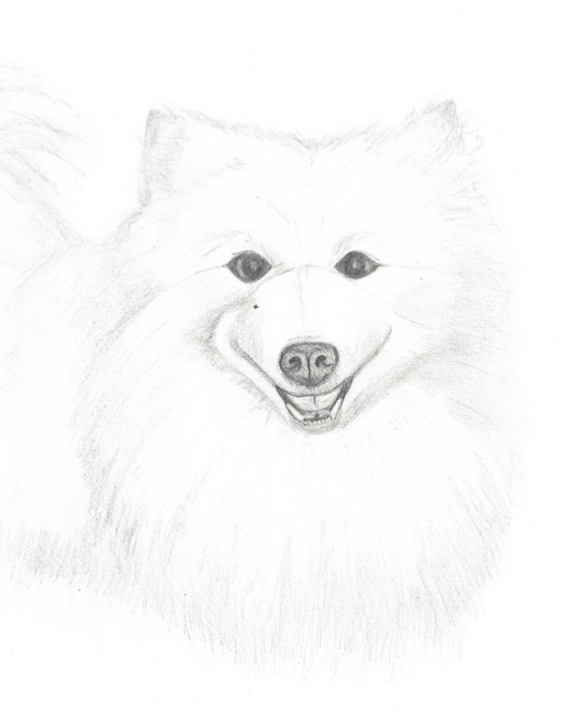 Pet Portrait Commission