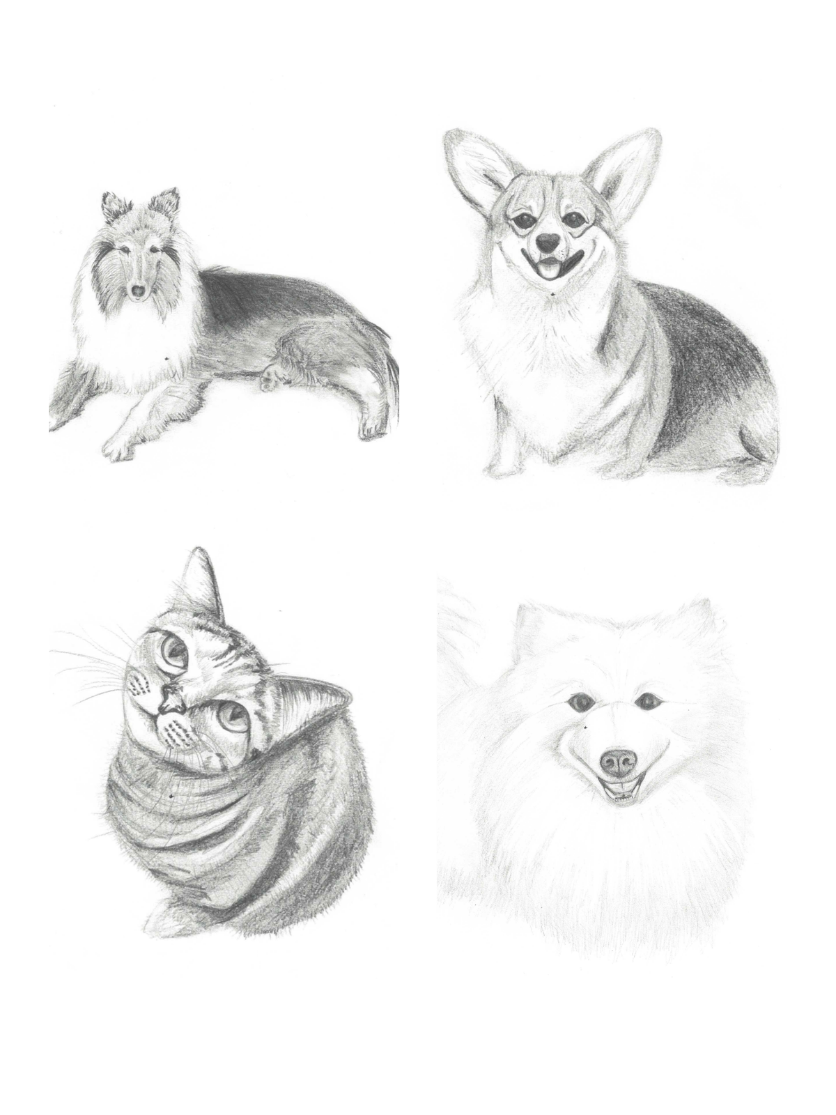Pet Portrait Commission (Graphite Only)